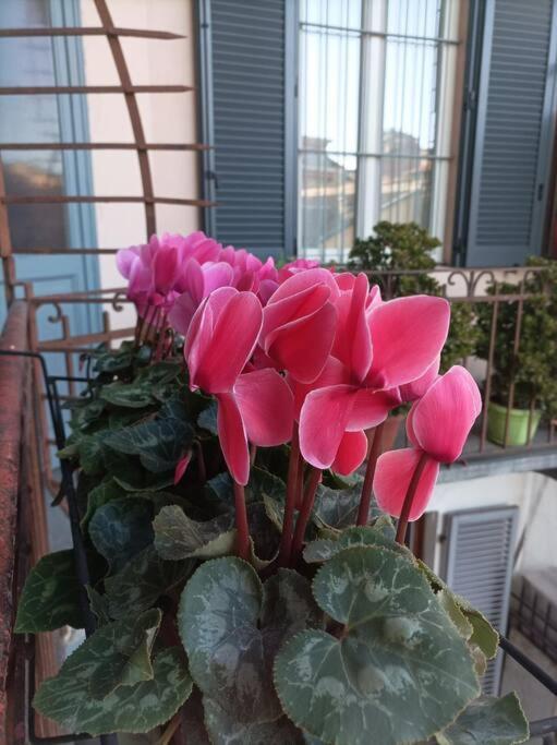 Pane E Tulipani, Cozy Apartment Near City Center Torino Eksteriør bilde